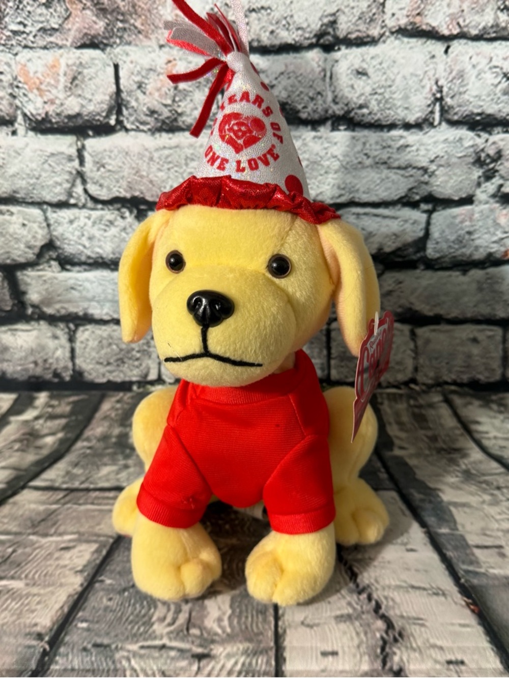 Raising Cane’s 2022 25th Birthday Yellow Lab Plush 10” Toy NWT (PL-10)